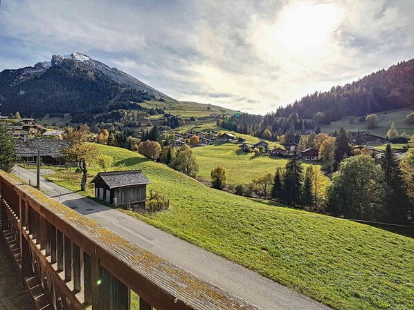 Property grounds - Cozy half-chalet in La Clusaz - 6 people, fireplace, wifi, pets allowed (La Clusaz)