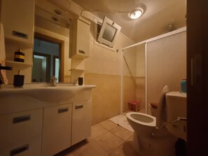 Shower, hair dryer, towels, toilet paper