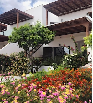 A modern building with a white facade, wooden pergolas, and a variety of colorful flowers in the foreground.