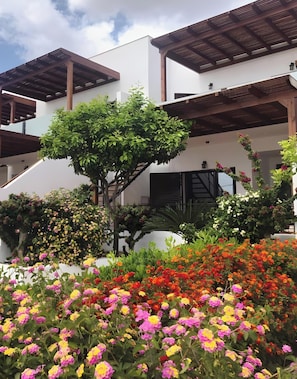 A modern building with a white facade, wooden pergolas, and a variety of colorful flowers in the foreground.