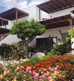 A modern building with a white facade, wooden pergolas, and a variety of colorful flowers in the foreground.