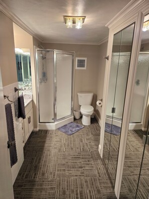 Shower, jetted tub, hair dryer, towels