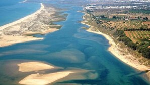 An aerial view of a coastal area with a beach, clear water, and surrounding vegetation.
