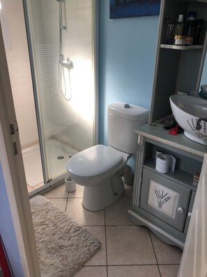 Shower, hair dryer, toilet paper