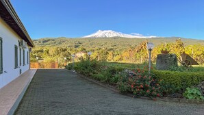 A paved pathway leading to a building with a mountain in the background.