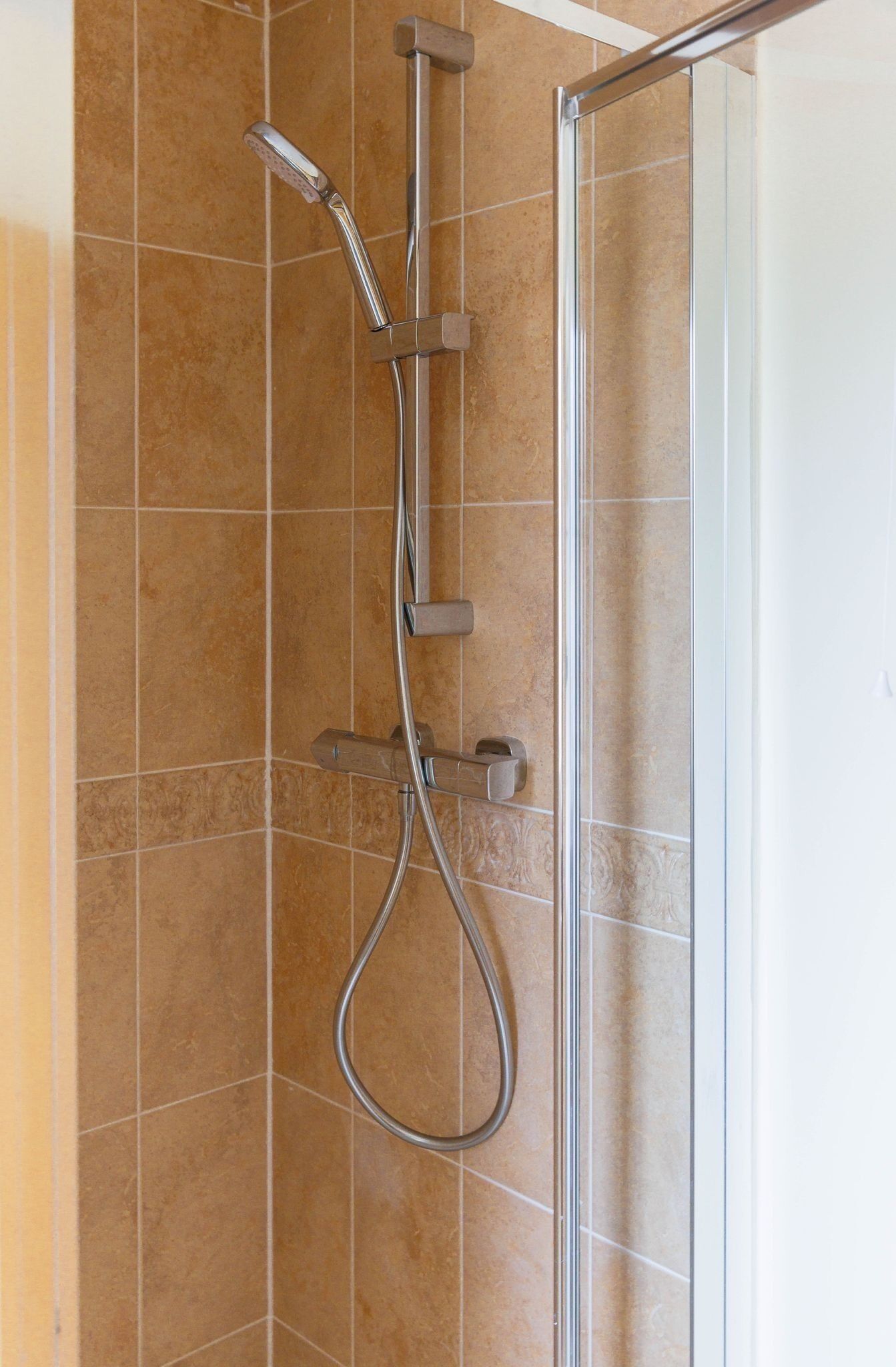 Shower, towels, toilet paper