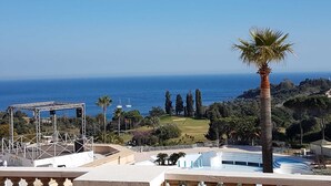 Vista costera con una palmera, cielo despejado y el mar al fondo.