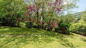 Un jardín con árboles, un camino de piedra y una banca.