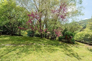 A garden with trees, a stone pathway, and a bench.