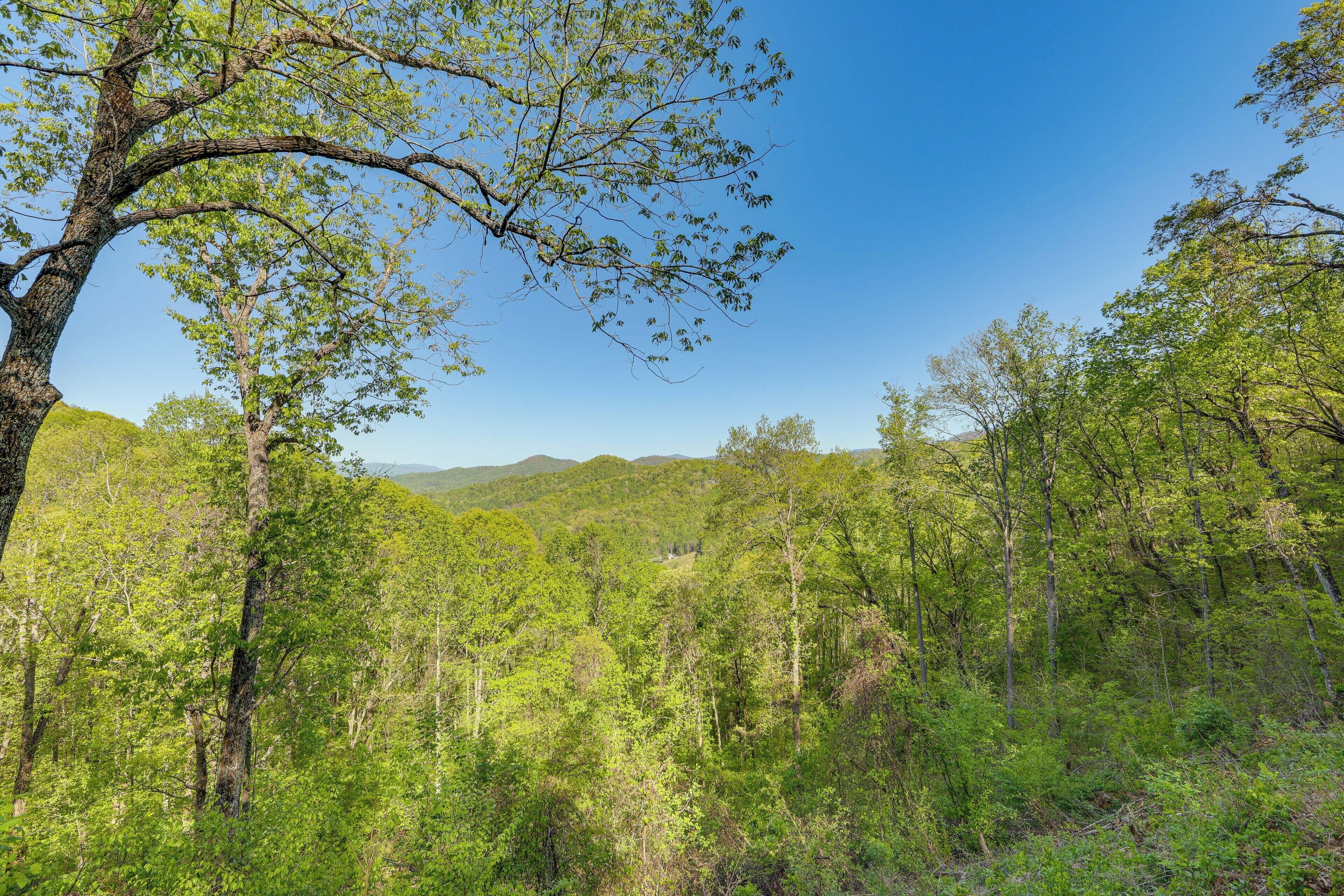 A forested landscape with a clear sky.