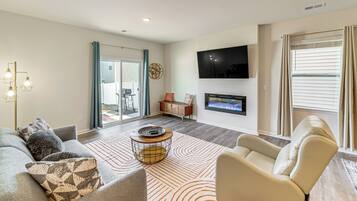 TV, fireplace, video game console, books