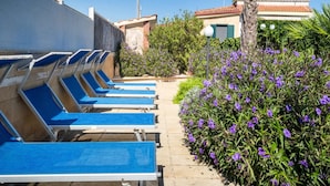 A row of blue sun loungers along a pathway, surrounded by purple flowers and a palm tree.
