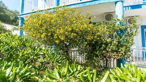 Un immeuble à plusieurs étages, doté de balcons et de climatiseurs, avec un arbre aux fleurs jaunes devant.