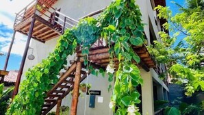 A building with a wooden pergola covered in green vines, a sign reading "ARROZES," and a concrete pathway leading to the entrance.