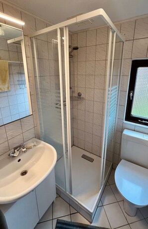 Shower, hair dryer, toilet paper