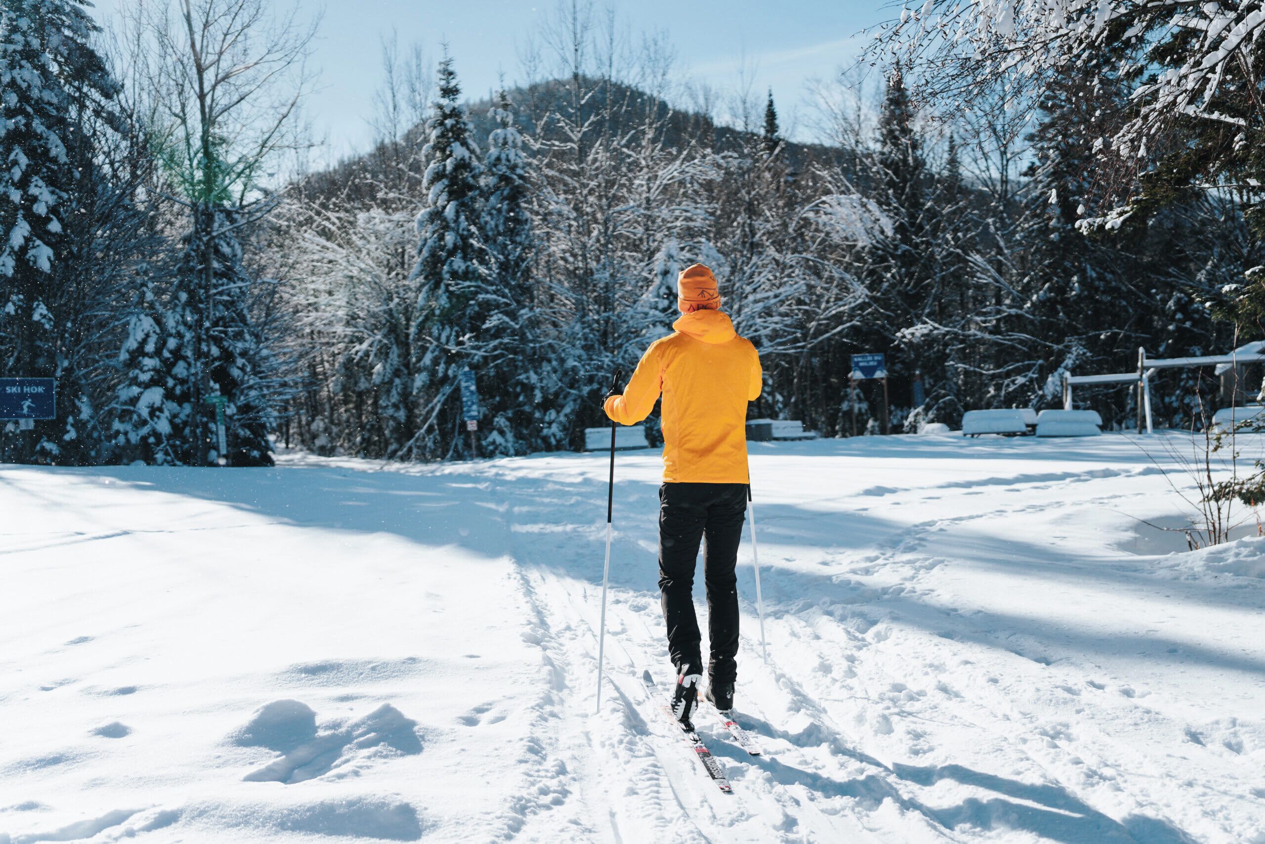 Eine Person fährt auf Skiern einen verschneiten Weg entlang, im Hintergrund Bäume und ein Hügel.