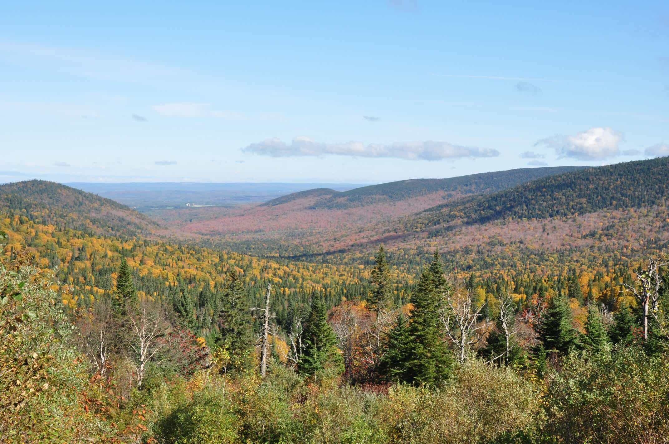 A mountainous landscape with dense forests and a clear sky.