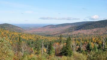 A mountainous landscape with dense forests and a clear sky.