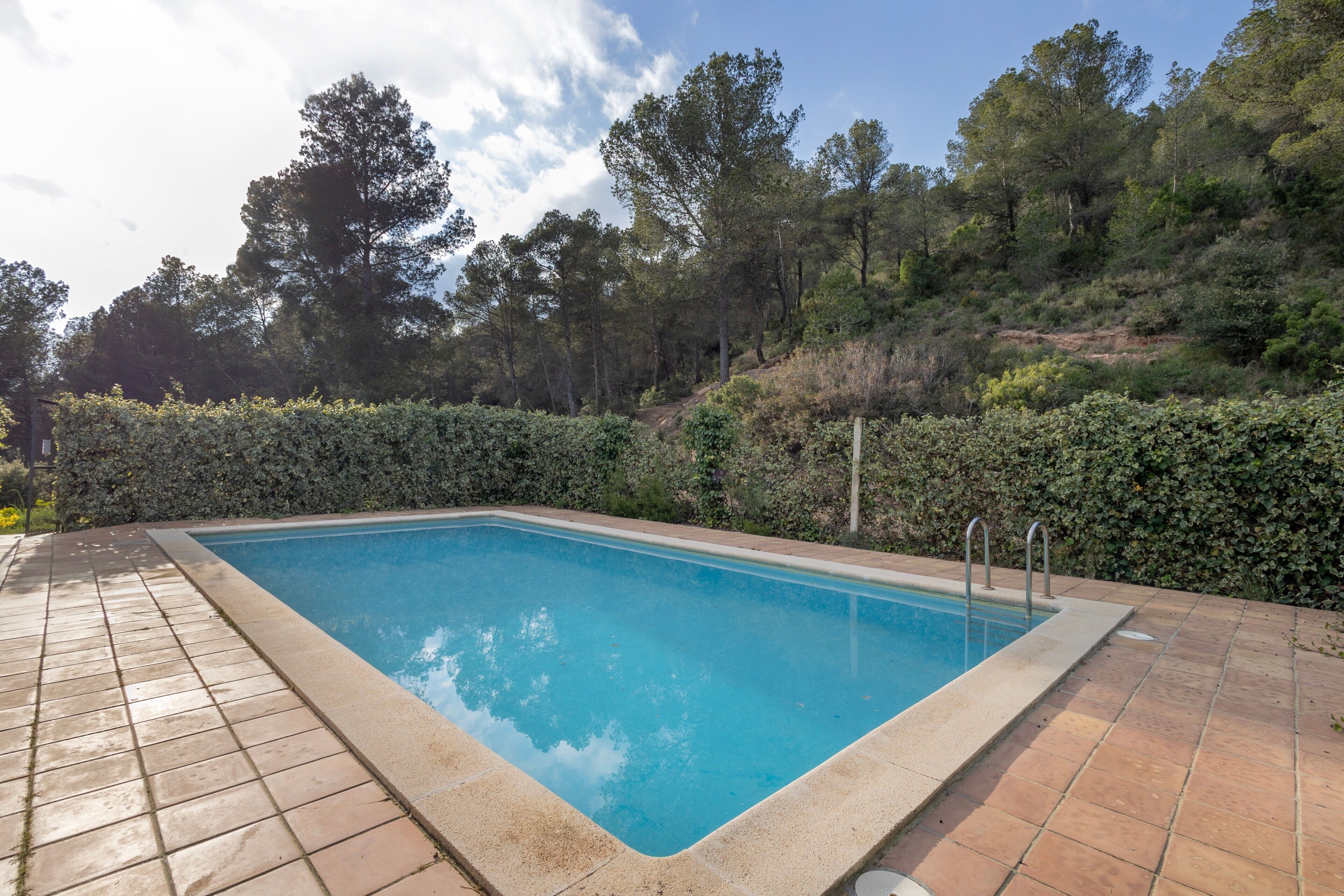 Piscina retangular com deck ladrilhado, rodeada por um sebedo e árvores.