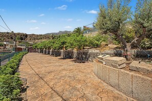 A paved pathway lined with trees and a stone wall on one side. - 'Finca Verónica' with Sea View, Wi-Fi and Air Conditioning (Candelaria)