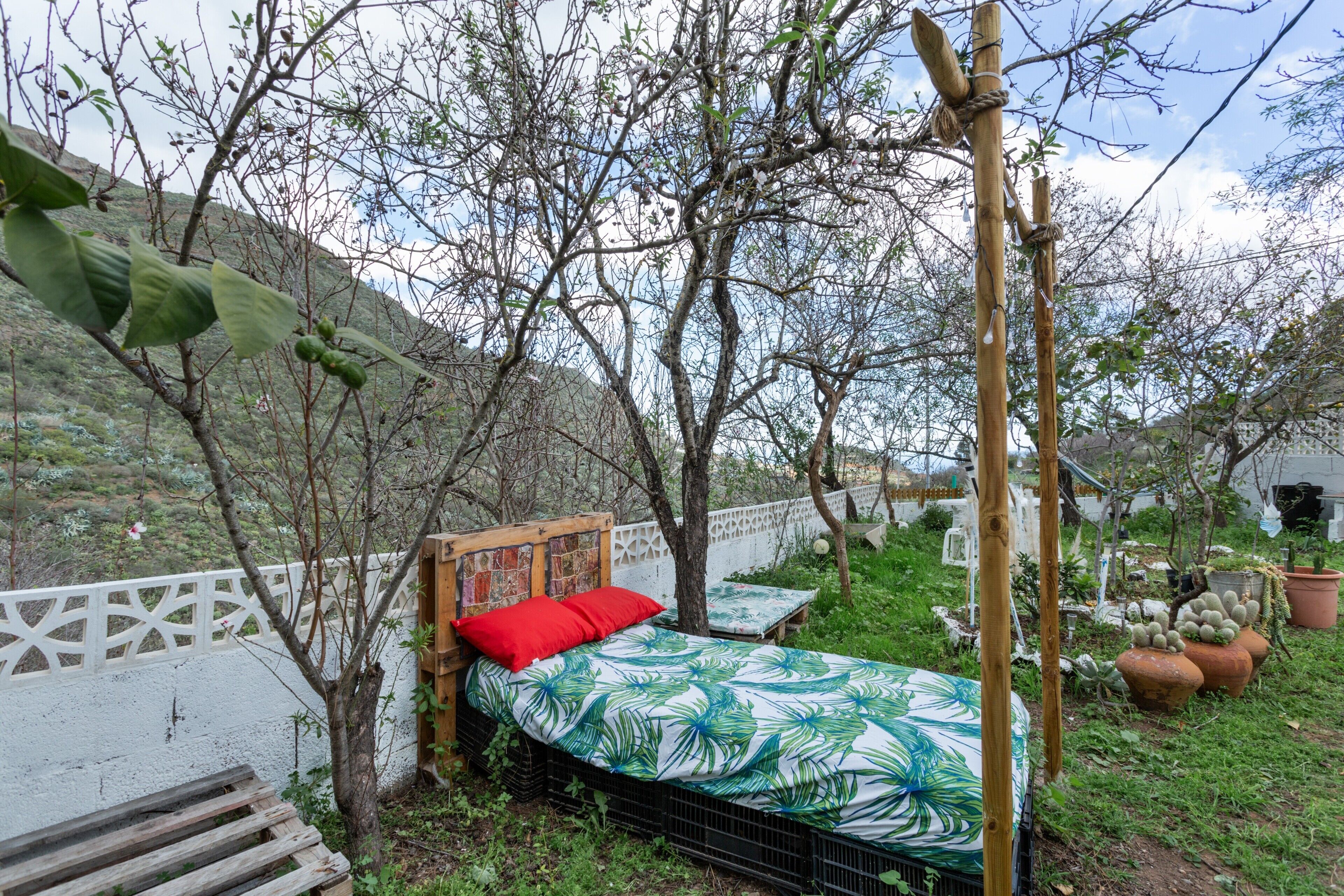 A bed with a red pillow, a wooden headboard, and a tropical leaf-patterned bedspread, set against a white wall with a lattice design.
