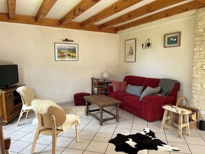 Televisión, chimenea, libros