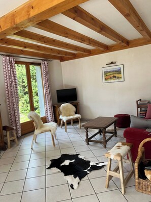 TV, fireplace, books - CHARMING CHALET - SLEEPS 6 (Allemont)