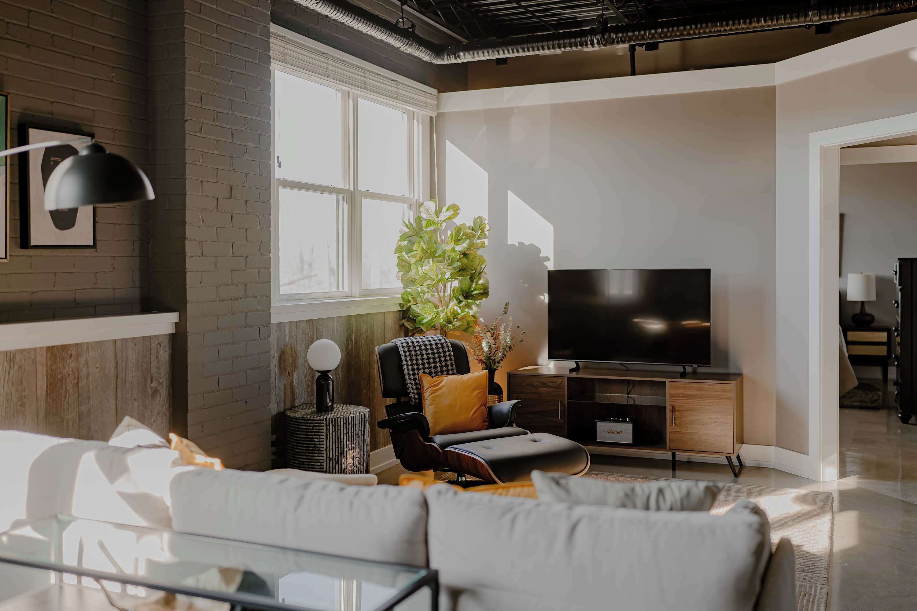 A modern living room with a sofa, a television, a plant, and a window.