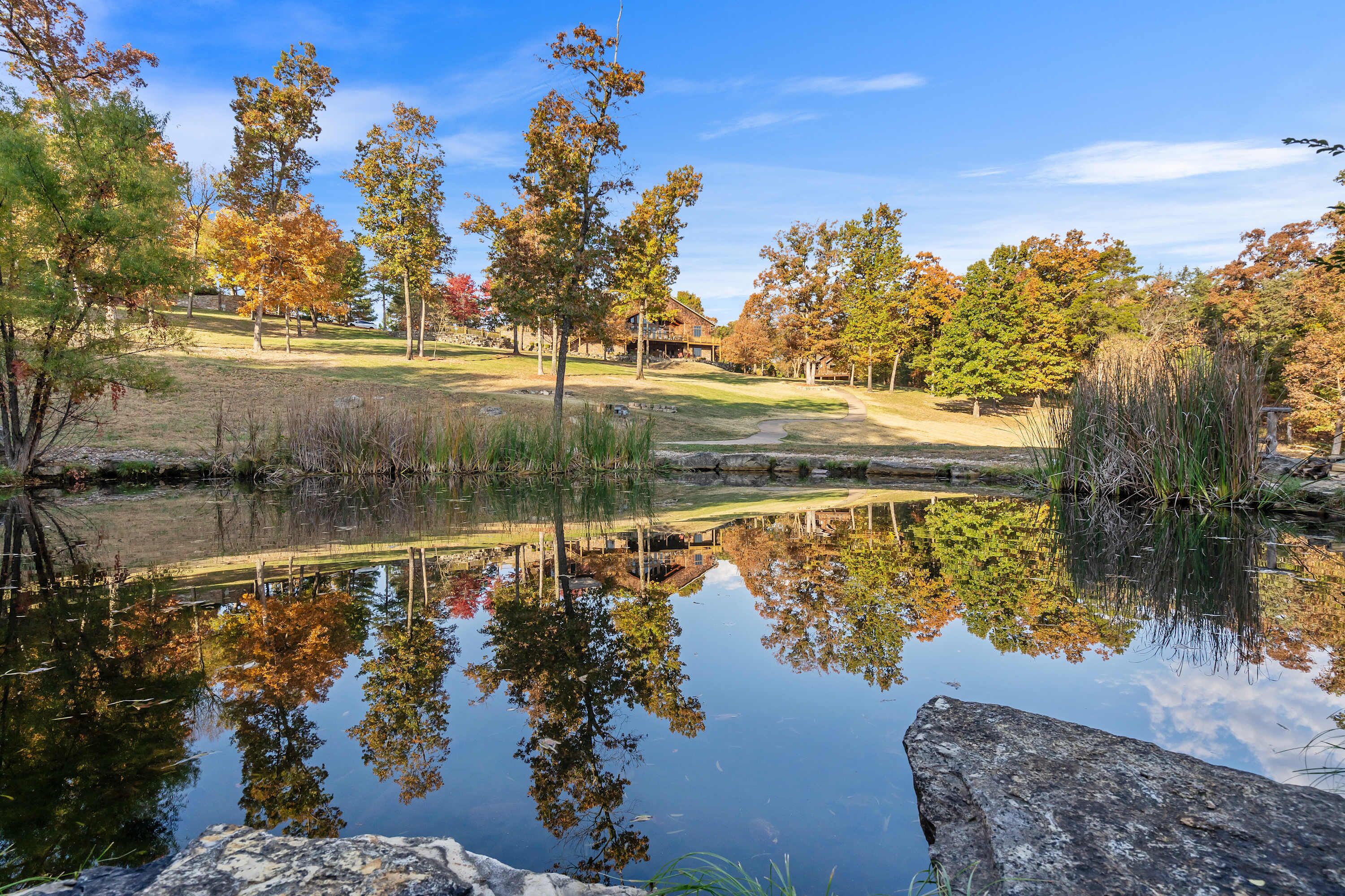A tranquil outdoor setting with a pond, trees, and a wooden bridge.