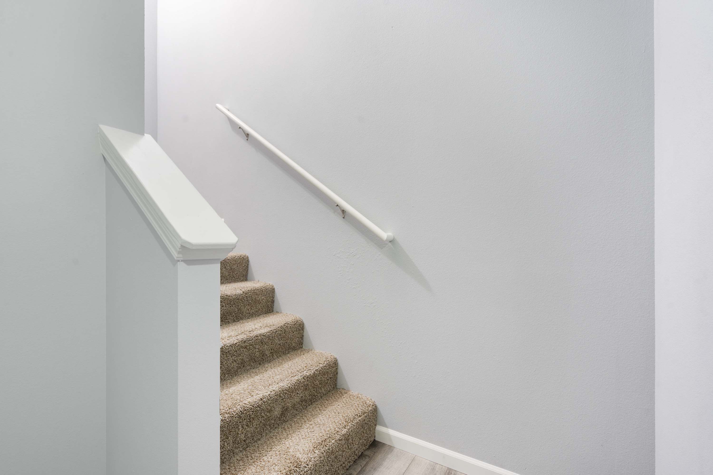 A staircase with a white handrail and carpeted steps against a light grey wall.