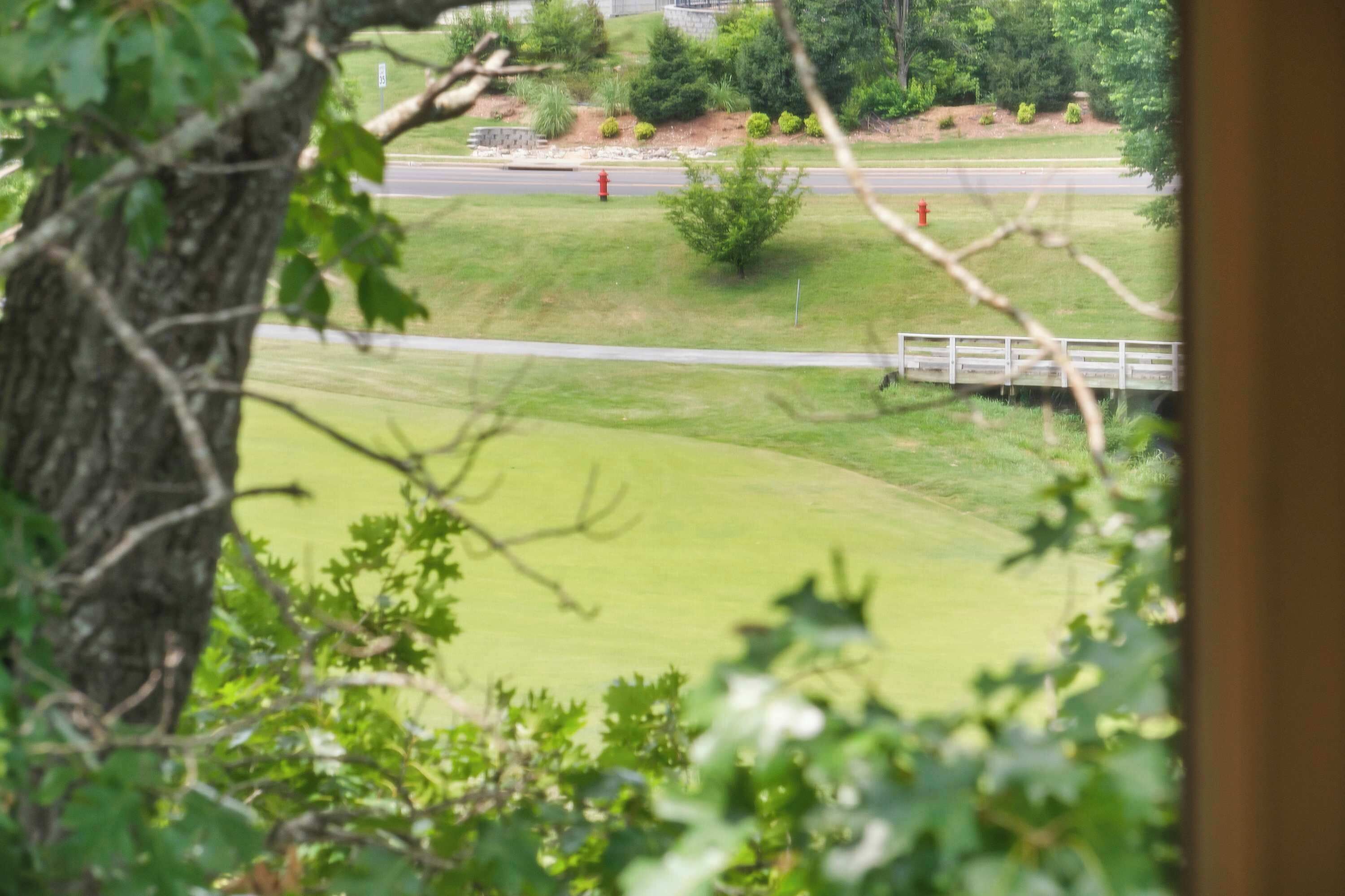 A view of a grassy area with a road and a white fence.