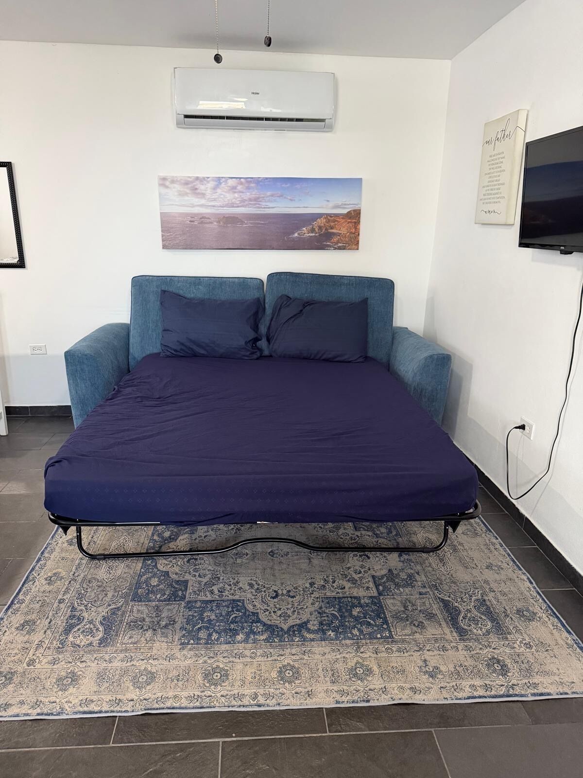 A bedroom with a bed, a wall-mounted air conditioner, a framed picture, a television, and a patterned rug.