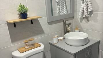 Shower, hair dryer, bidet, towels