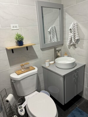 Shower, hair dryer, bidet, towels