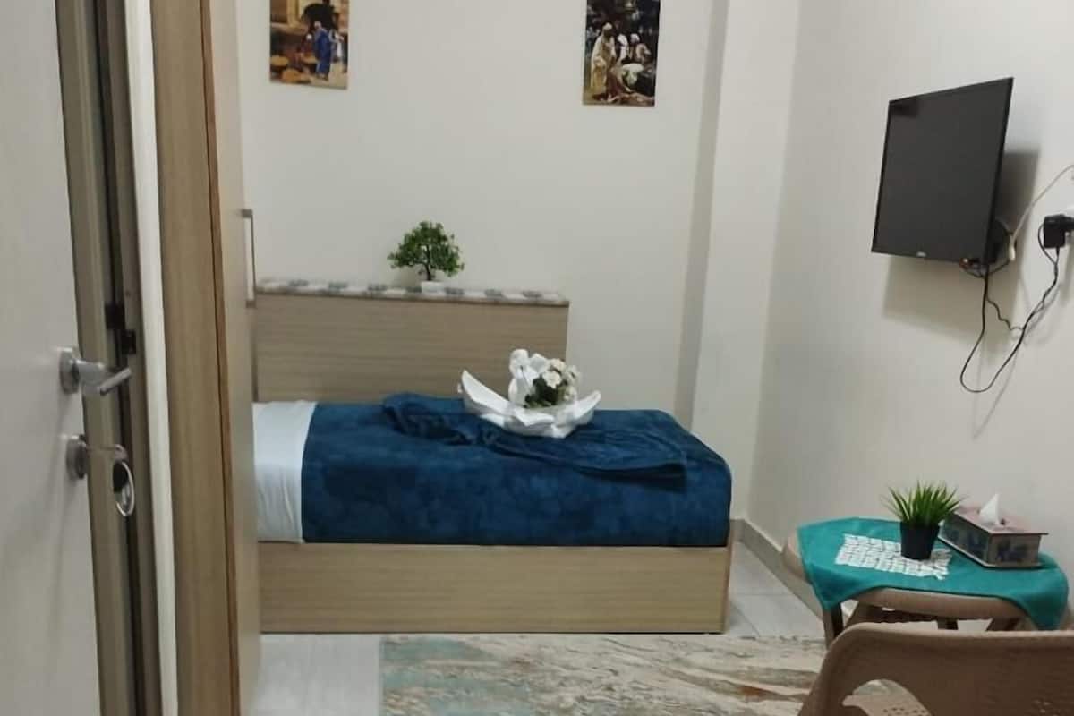 A small room with a bed, a desk, a chair, a TV, and a small plant.