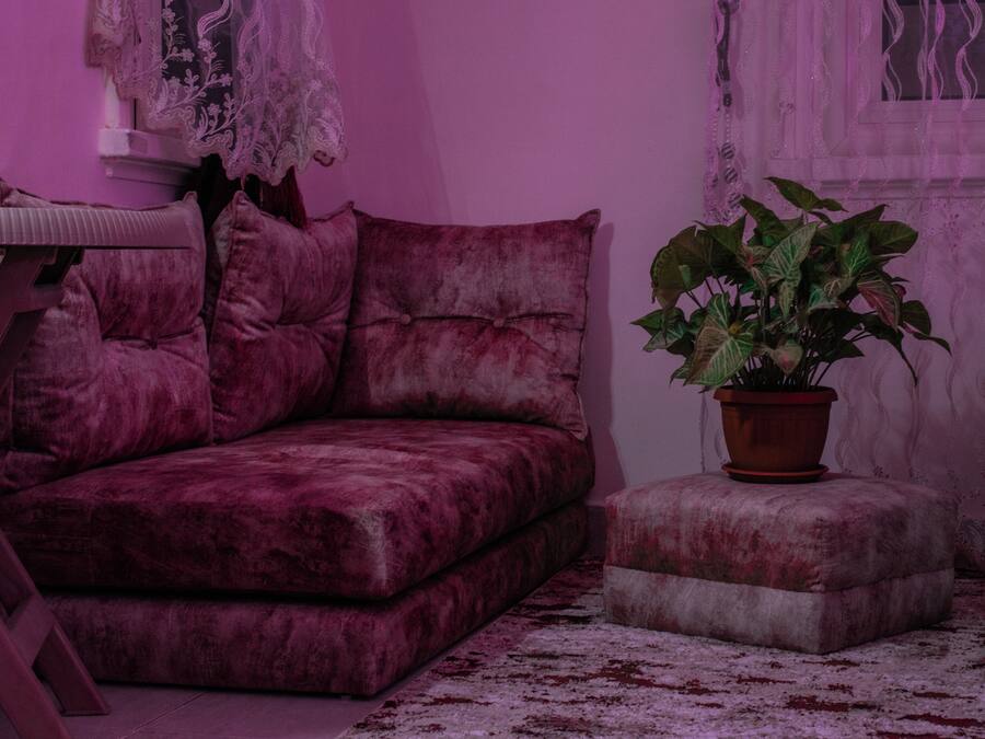 Una habitación con un sofá rosa, un reposapiés a juego y una planta en maceta.