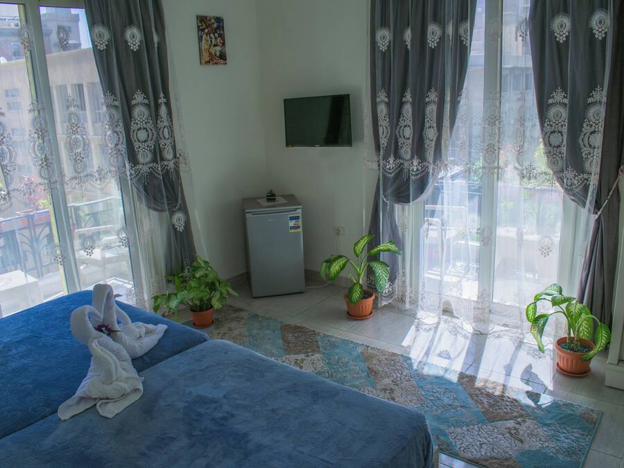 A hotel room with a bed, a TV, two potted plants, and a small refrigerator.