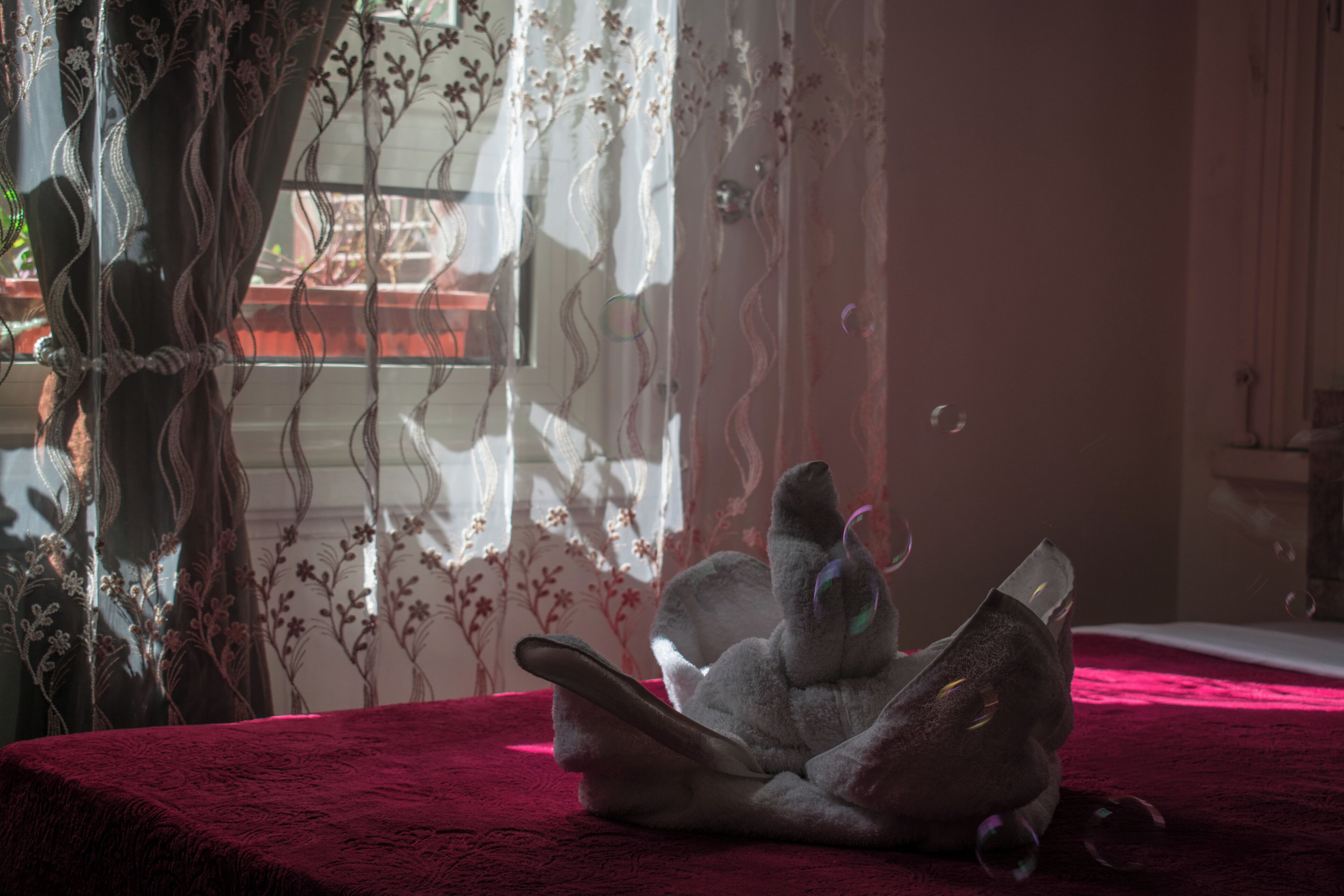 A plush toy on a red surface, a window with curtains, and a plant in the background.