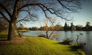 A park with a lake, trees, and a grassy area.
