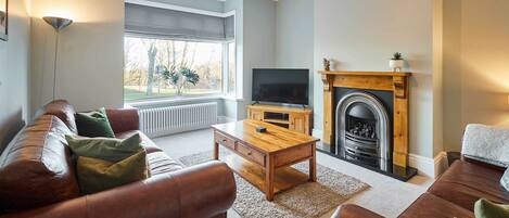 Fernseher, Kamin, Arbeitsbereiche