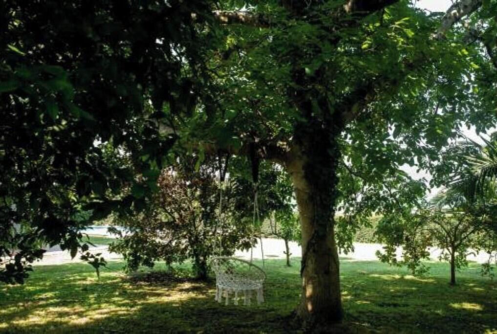 Terrein van de accommodatie