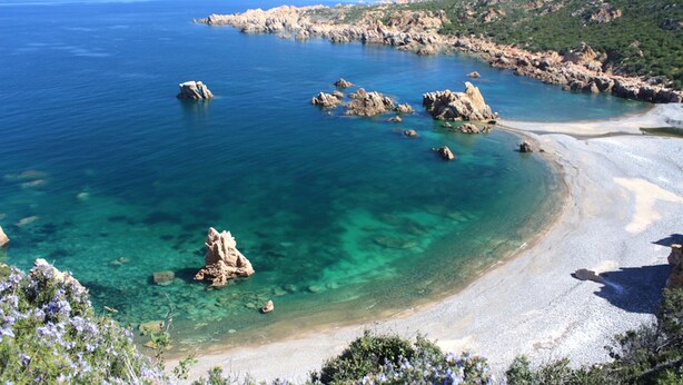 Beach - Apartments with common swimming pool in Costa Paradiso (Trinità d'Agultu e Vignola)