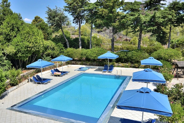 Secondary Pool View – Surrounded by Nature and Seating