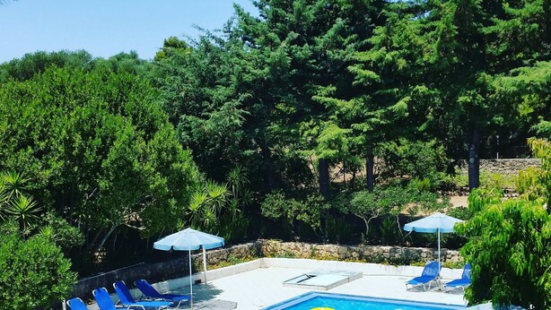 Ein rechteckiger Pool mit klarem, blauem Wasser, umgeben von blauen Liegestühlen und Sonnenschirmen.