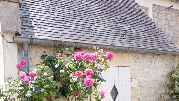 A stone building with a white door and a garden with pink flowers. - Rose Garden Bayeux (Bayeux)