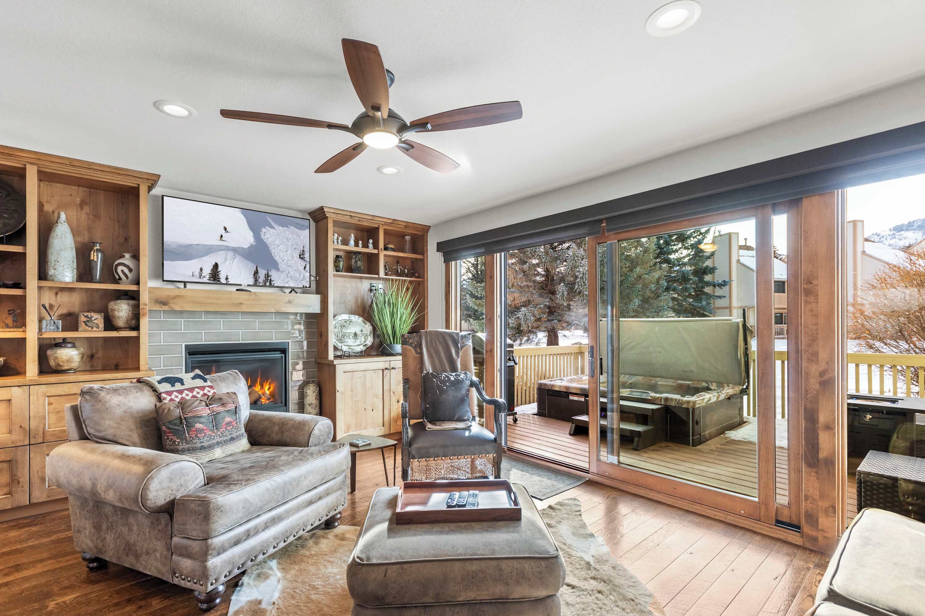 TV, fireplace, books