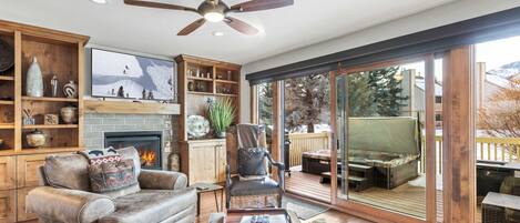 Televisión, chimenea, libros