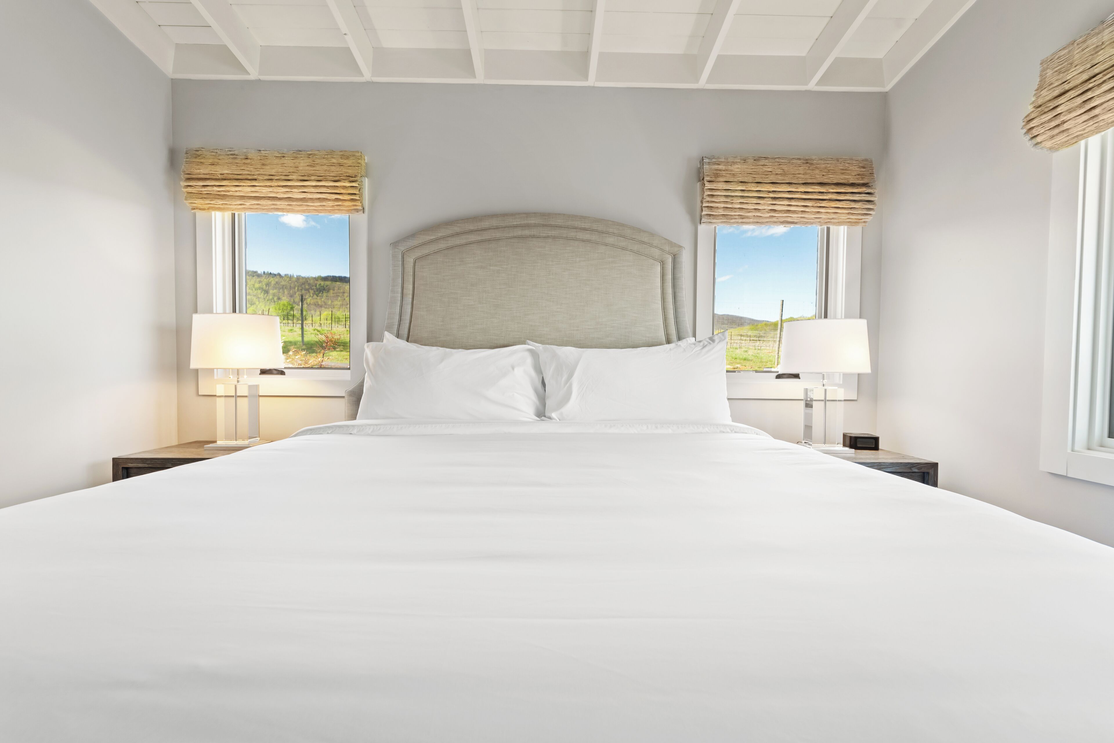 Baita Luxury, vista vigneti | Postazione laptop, Wi-Fi gratuito