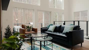 TV, fireplace, video games, books