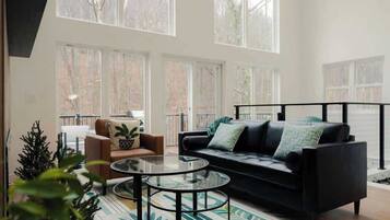 TV, fireplace, video games, books